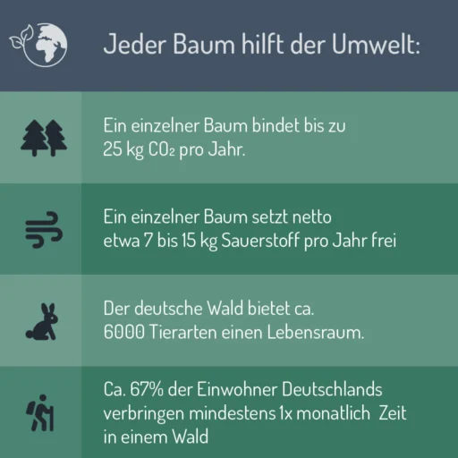 Nachhaltigkeitsmerkmale von Gedenkbäumen