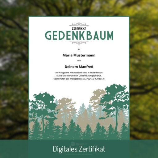 Digitales Zertifikat inklusive mit jeder Bestellung